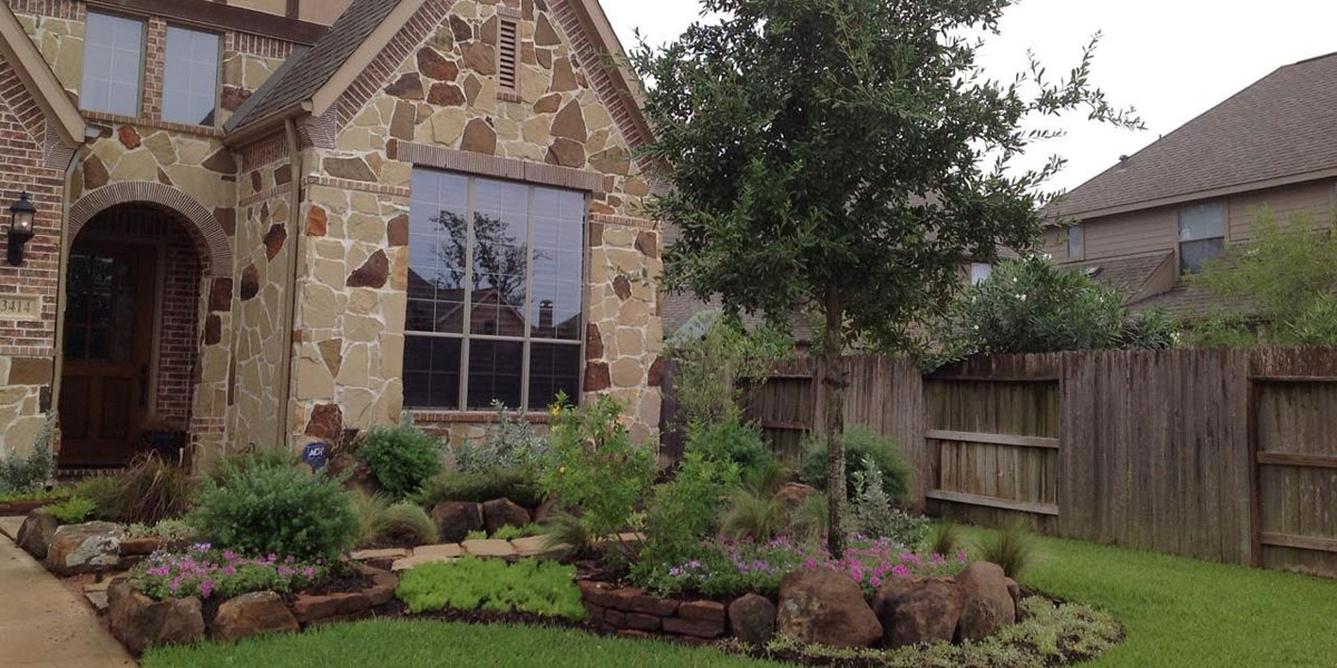 Landscape & Waterscape